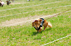 picnic_land_A-0264_thumb.png