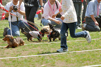 picnic_land_A-0265.jpg