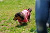 picnic_land_A-0266_thumb.png