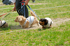 picnic_land_A-0267_thumb.png