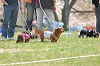 picnic_land_A-0269_thumb.png