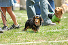 picnic_land_A-0270_thumb.png