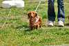 picnic_land_A-0273_thumb.png
