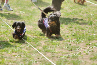 picnic_land_A-0276.jpg