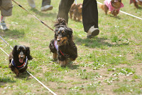 picnic_land_A-0277.jpg