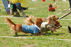 picnic_land_A-0282_thumb.png