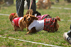 picnic_land_A-0283_thumb.png