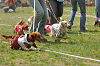 picnic_land_A-0287_thumb.png