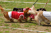 picnic_land_A-0289_thumb.png