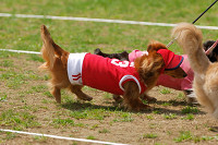 picnic_land_A-0290.jpg