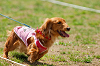 picnic_land_A-0291_thumb.png