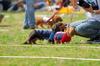 picnic_land_A-0294.jpg