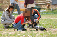 picnic_land_A-0296.jpg