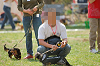 picnic_land_A-0298_thumb.png