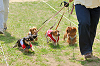picnic_land_A-0305_thumb.png
