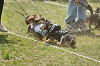 picnic_land_A-0308_thumb.png