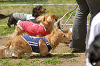 picnic_land_A-0312_thumb.png