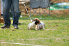 picnic_land_A-0314_thumb.png