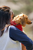 picnic_land_A-0316_thumb.png