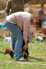 picnic_land_A-0318_thumb.png