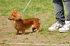 picnic_land_A-0321_thumb.png