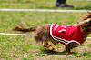 picnic_land_A-0324_thumb.png