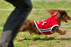 picnic_land_A-0325_thumb.png