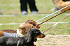 picnic_land_A-0329_thumb.png