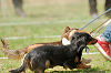 picnic_land_A-0330_thumb.png