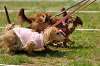 picnic_land_A-0337_thumb.png