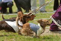 picnic_land_A-0339.jpg