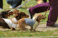 picnic_land_A-0340.jpg