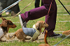 picnic_land_A-0341_thumb.png
