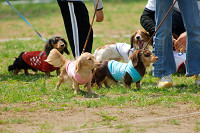 picnic_land_A-0342.jpg