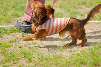 picnic_land_A-0344.jpg