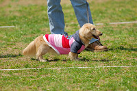 picnic_land_A-0345.jpg