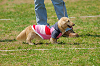 picnic_land_A-0345_thumb.png