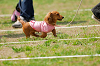 picnic_land_A-0351_thumb.png