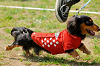 picnic_land_A-0354_thumb.png