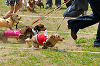 picnic_land_A-0359_thumb.png
