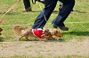 picnic_land_A-0360_thumb.png