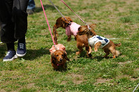 picnic_land_A-0363.jpg