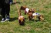 picnic_land_A-0363_thumb.png