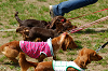 picnic_land_A-0367_thumb.png