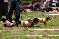 picnic_land_A-0371.jpg