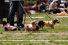 picnic_land_A-0371_thumb.png