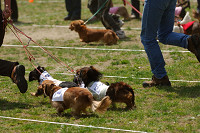 picnic_land_A-0378.jpg