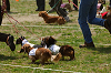 picnic_land_A-0378_thumb.png