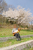 picnic_land_A-0382_thumb.png