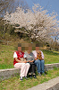 picnic_land_A-0387_thumb.png